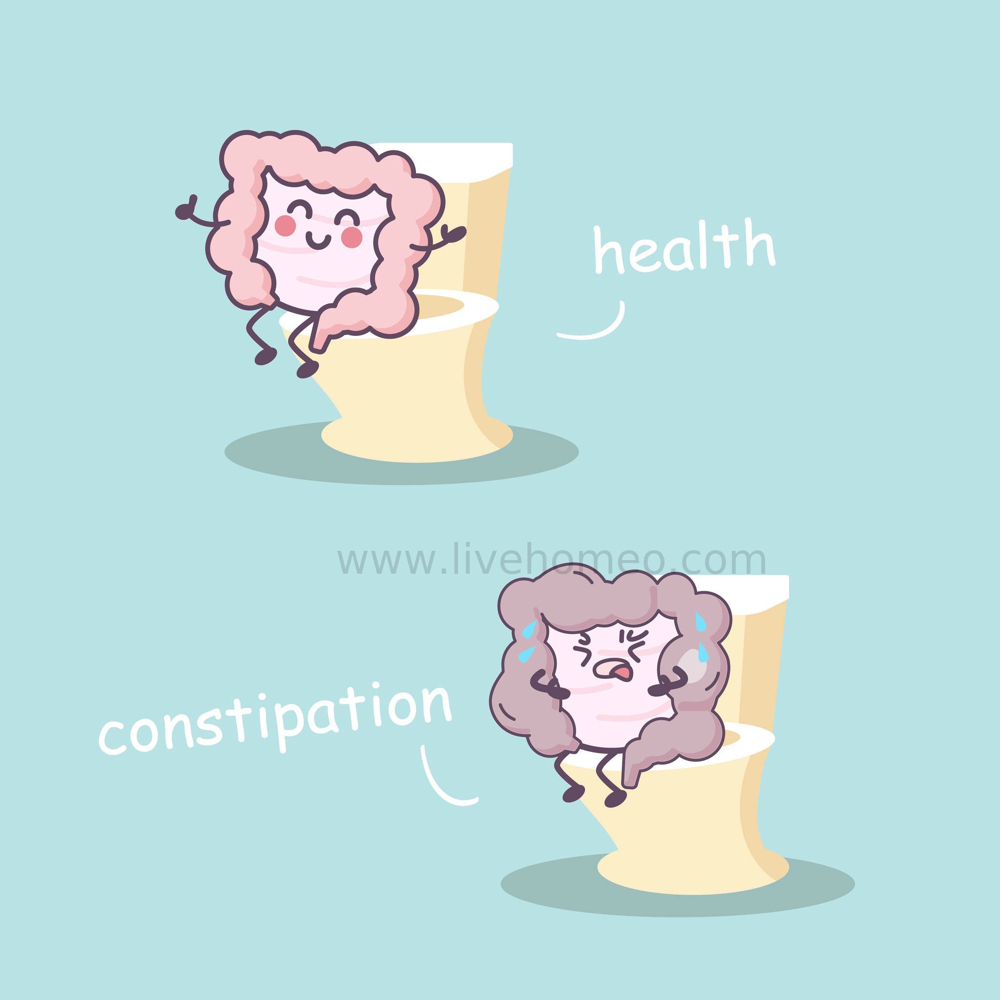 Health Tips for Constipation Problems
