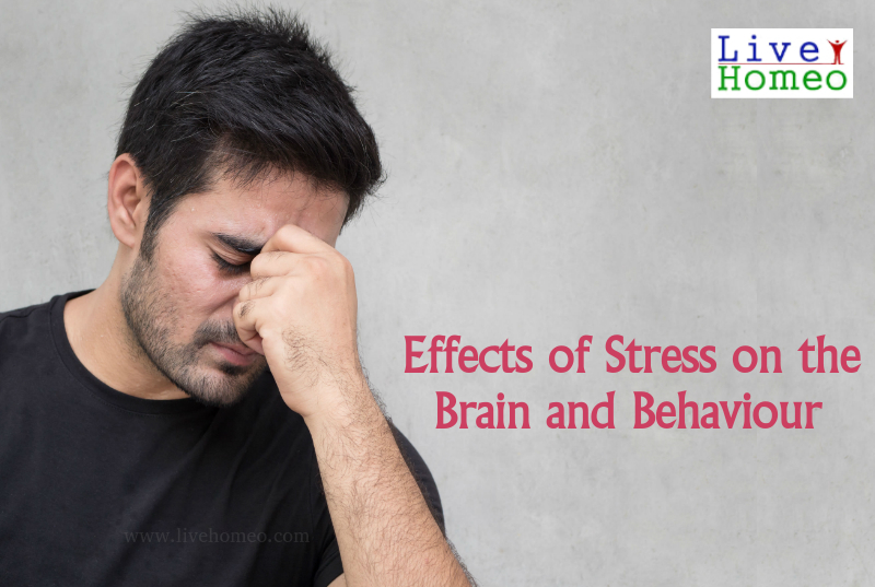 Stress effects on brain